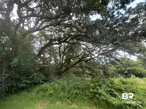825 Williams Ave, Axis, AL 36505 photo 3