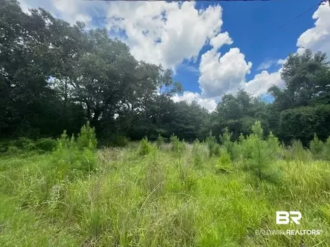 825 Williams Ave, Axis, AL 36505 photo 2
