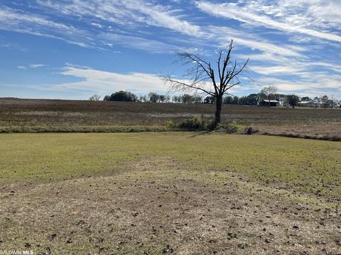 5841 Arthur Brown Rd, Mcdavid, FL 32568 photo 14