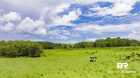 11515 County Road 97, Elberta, AL 36530 photo 10