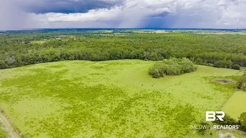 11515 County Road 97, Elberta, AL 36530 photo 13
