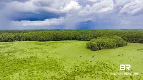 11515 County Road 97, Elberta, AL 36530 photo 14