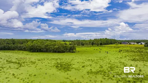 11515 County Road 97, Elberta, AL 36530 photo 9