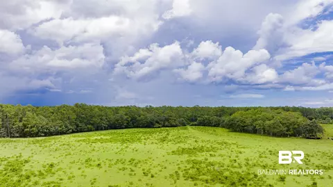 11515 County Road 97, Elberta, AL 36530 photo 3