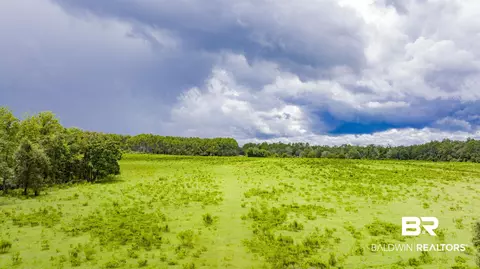 11515 County Road 97, Elberta, AL 36530 photo 1