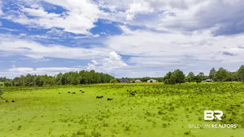 11515 County Road 97, Elberta, AL 36530 photo 16