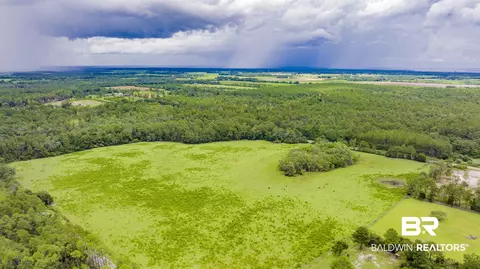 11515 County Road 97, Elberta, AL 36530 photo 12