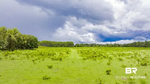 11515 County Road 97, Elberta, AL 36530 photo 2