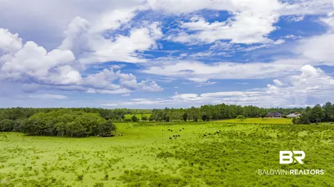 11515 County Road 97, Elberta, AL 36530 photo 15