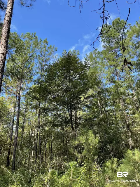 0 N Highway 43, Axis, AL 36505 photo 11