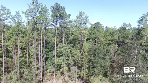 0 N Highway 43, Axis, AL 36505 photo 5