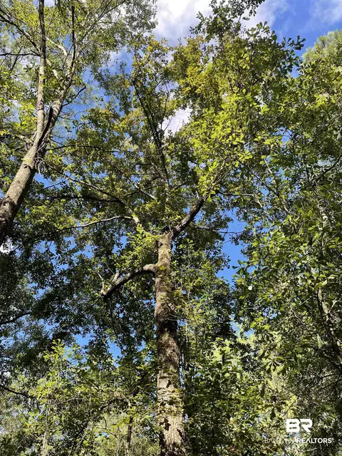 0 N Highway 43, Axis, AL 36505 photo 12