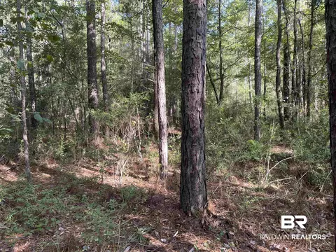 0 N Highway 43, Axis, AL 36505 photo 2
