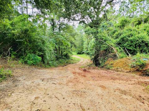 35873 County Road 39, Stapleton, AL 36578 photo 38