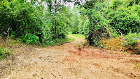 35873 County Road 39, Stapleton, AL 36578 photo 37