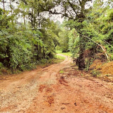 35873 County Road 39, Stapleton, AL 36578 photo 42
