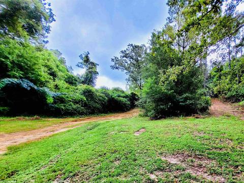 35873 County Road 39, Stapleton, AL 36578 photo 28