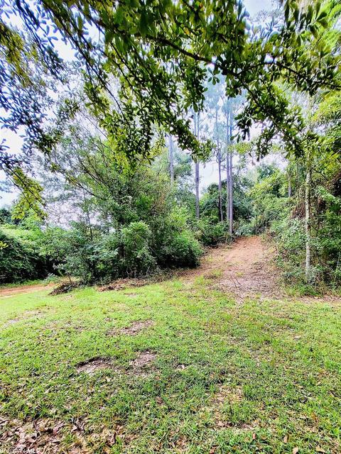 35873 County Road 39, Stapleton, AL 36578 photo 27