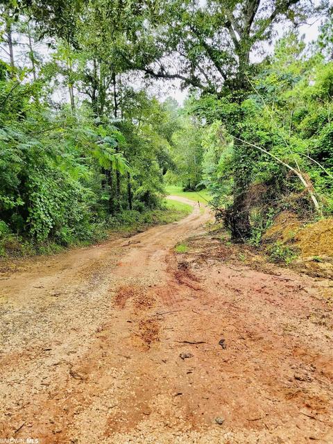 35873 County Road 39, Stapleton, AL 36578 photo 43