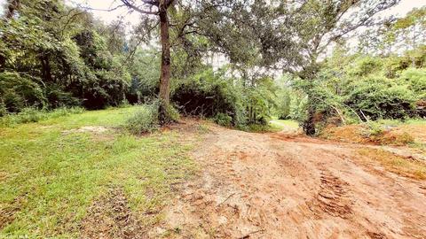 35873 County Road 39, Stapleton, AL 36578 photo 41