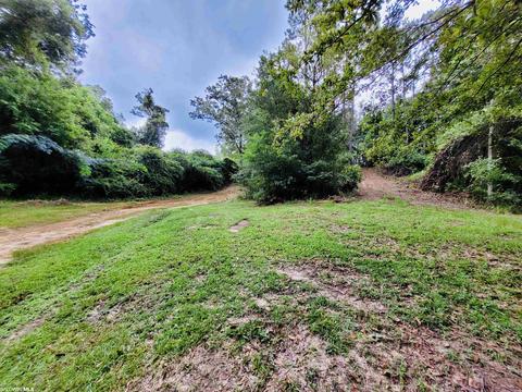 35873 County Road 39, Stapleton, AL 36578 photo 29