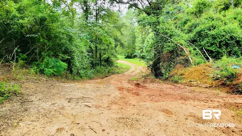 35873 County Road 39, Stapleton, AL 36578 photo 36