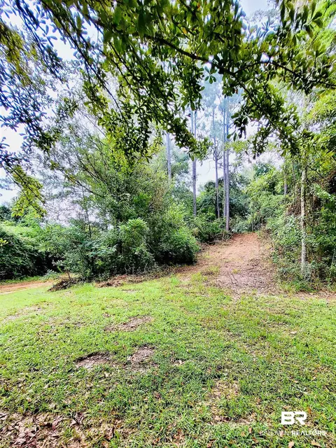 35873 County Road 39, Stapleton, AL 36578 photo 27