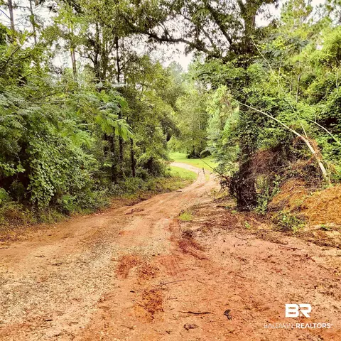 35873 County Road 39, Stapleton, AL 36578 photo 41