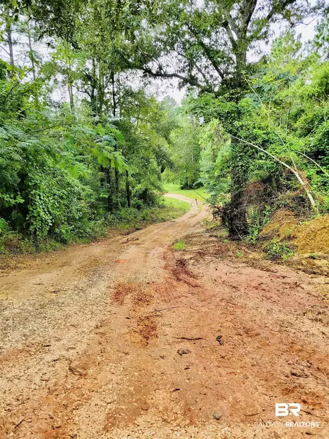 35873 County Road 39, Stapleton, AL 36578 photo 42