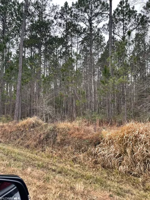 389 Topton Rd, Mcintosh, AL 36553