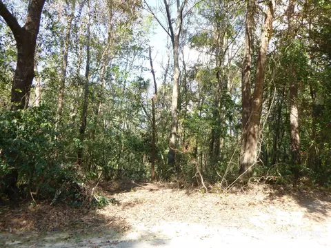 30471 Dolive Rdg, Daphne, AL 36527 photo 1