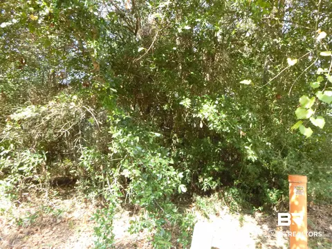 30471 Dolive Rdg, Daphne, AL 36527 photo 3