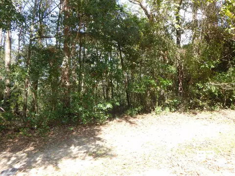 30471 Dolive Rdg, Daphne, AL 36527 photo 2