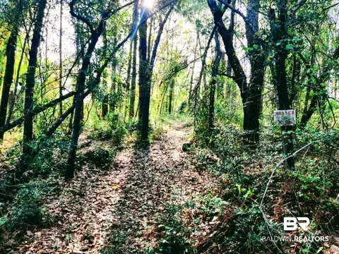0 Albert Hollon Ln, Lillian, AL 36549