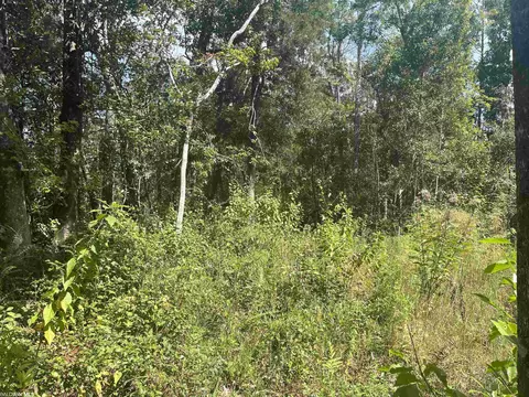 24875 Miflin Rd, Elberta, AL 36530 photo 3