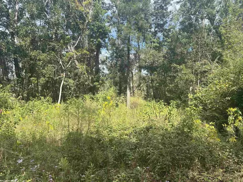 24875 Miflin Rd, Elberta, AL 36530 photo 4