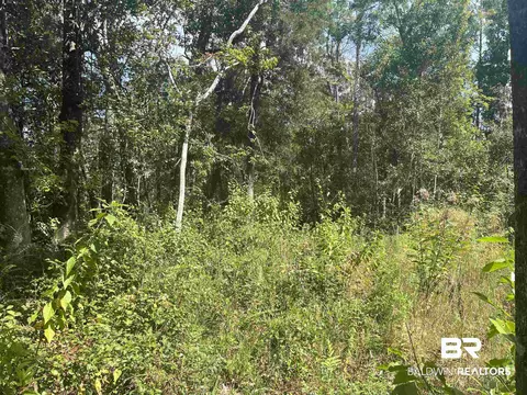 24875 Miflin Rd, Elberta, AL 36530 photo 3