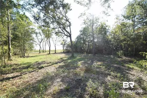 0 Shell Belt Rd, Mobile, AL 36523 photo 7