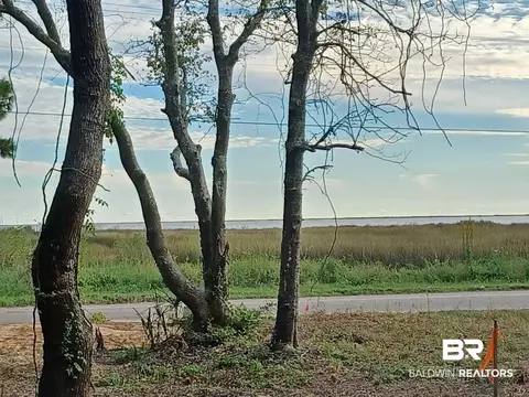 0 Shell Belt Rd, Mobile, AL 36523 photo 11