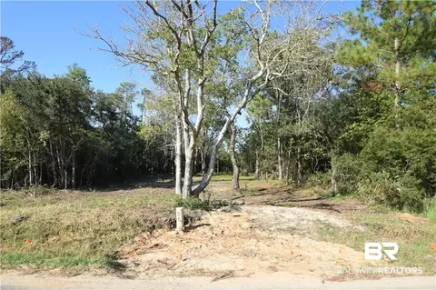 0 Shell Belt Rd, Mobile, AL 36523 photo 6