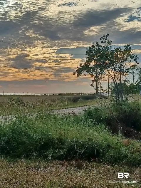 0 Shell Belt Rd, Mobile, AL 36523 photo 10