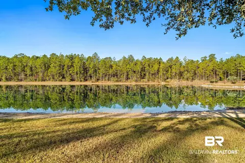 10777 Ski Chaste Ln, Axis, AL 36505 photo 6