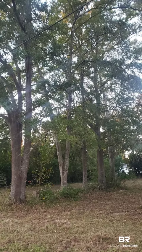 305 E School St, Atmore, AL 36502 photo 8