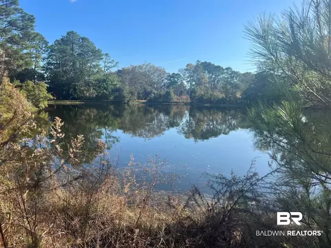 Undisclosed, Mobile, AL 36693 photo 8