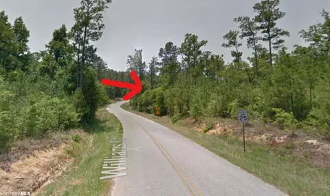 0 Williams Rd, Spanish Fort, AL 36527