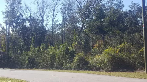 2062 Clubhouse Dr, Lillian, AL 36549