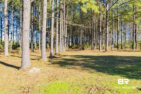 14500 Melvin Johnson Rd, Stapleton, AL 36578 photo 8