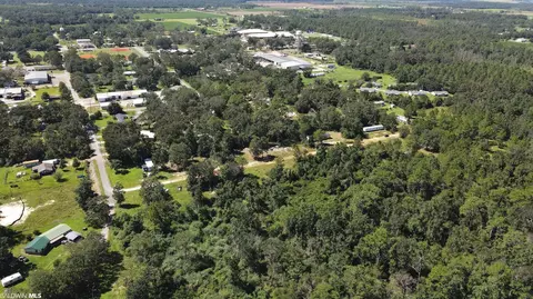 13100 Preserve Ln, Elberta, AL 36530 photo 22
