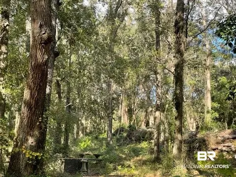 0 Ryan Ave, Daphne, AL 36526 photo 2