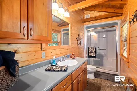 10659 Ski Chaste Ln, Axis, AL 36505 photo 15